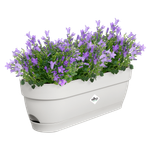 vibia campana balkonkasten 50cm seidenweiß